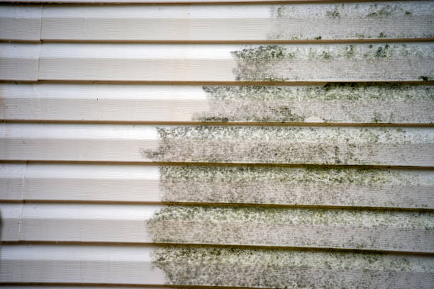 Best Brick Veneer Siding  in Belle Chasse, LA